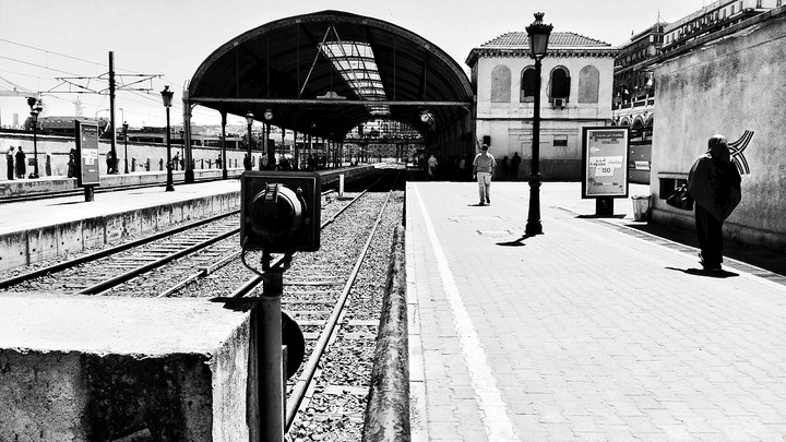 alger by imad 2