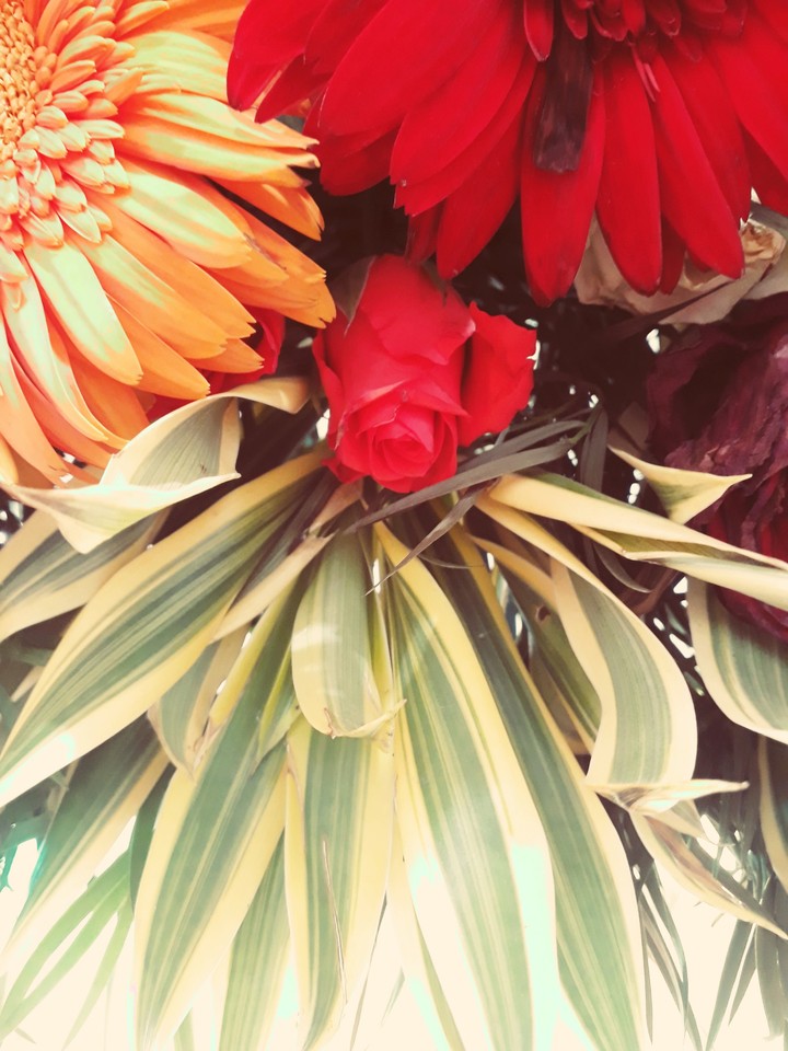 flower
