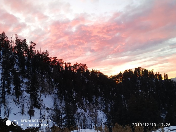Red Sky