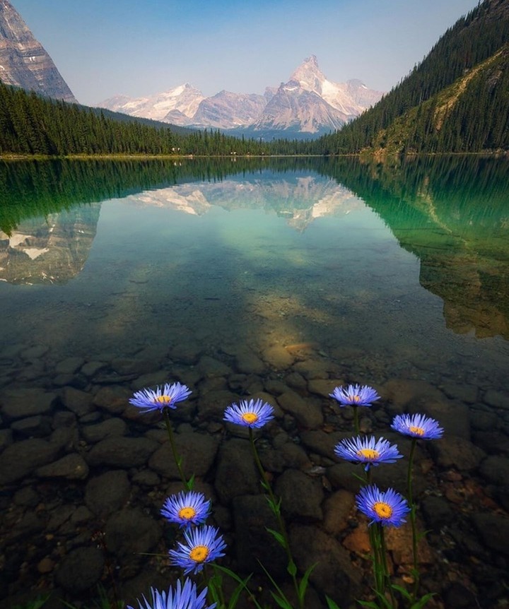 #nature