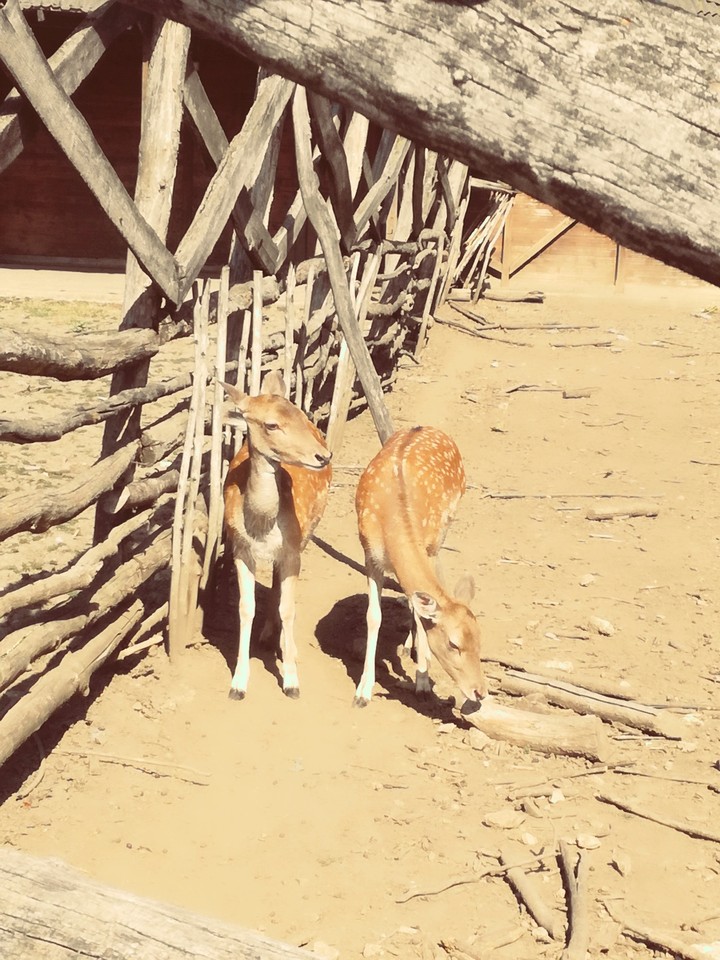 Two