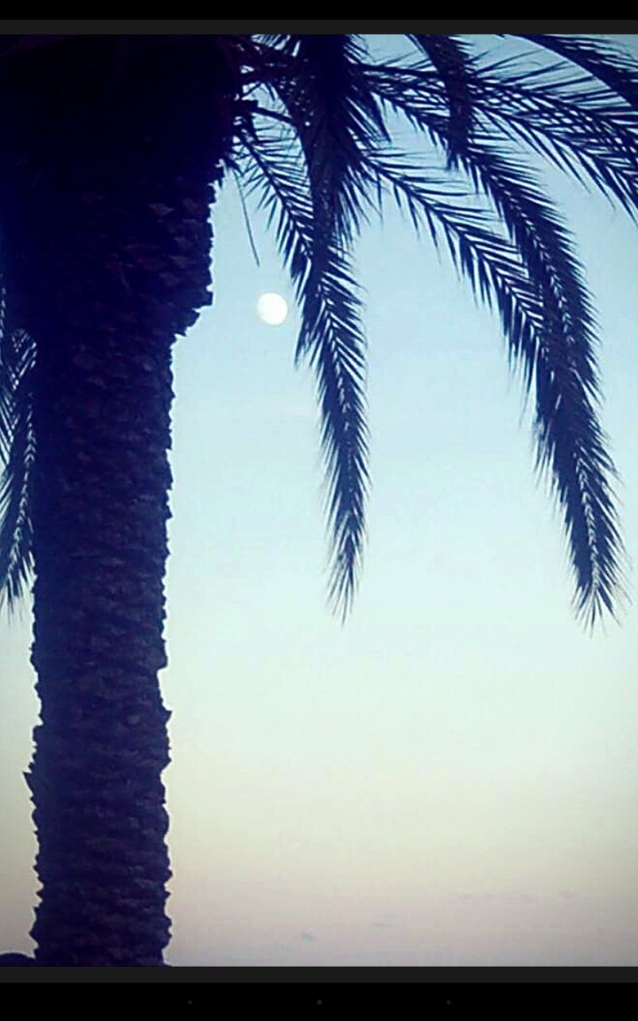 Relax
