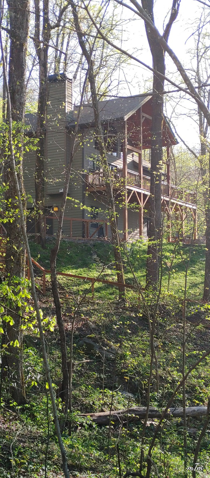 Timber Hideaway Davistown NC