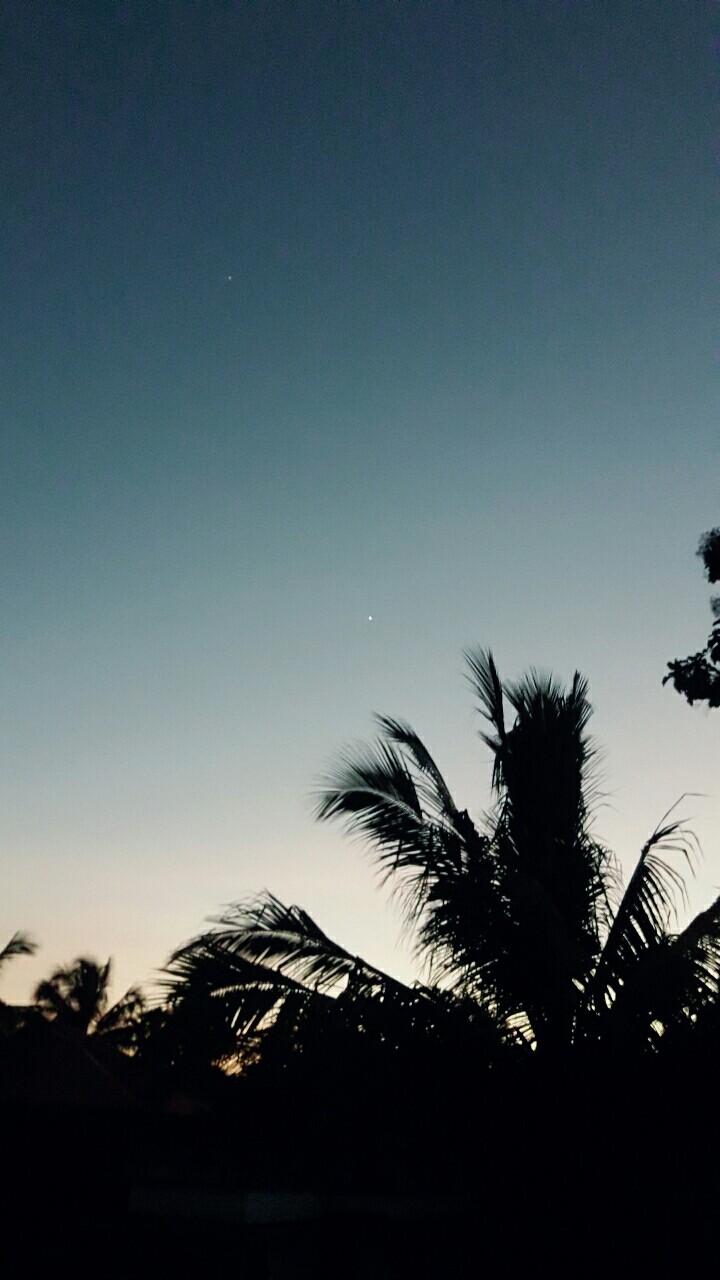 night