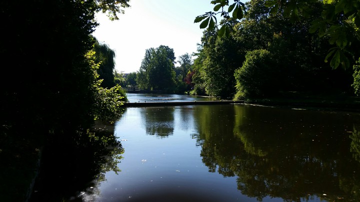 Allone at the River
