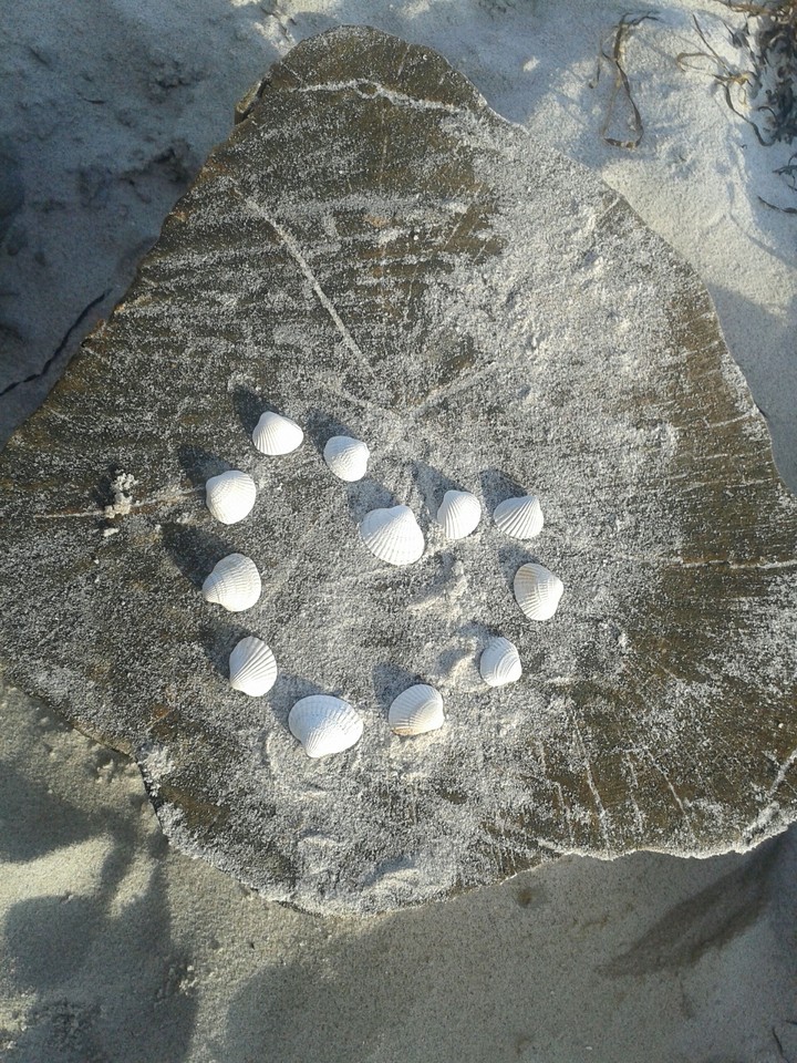 Beach Love