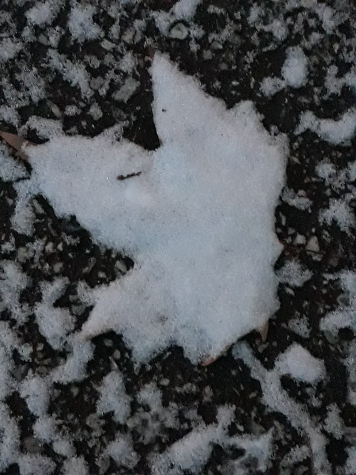 snow