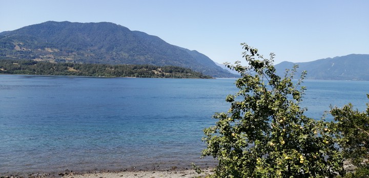 Panguipulli