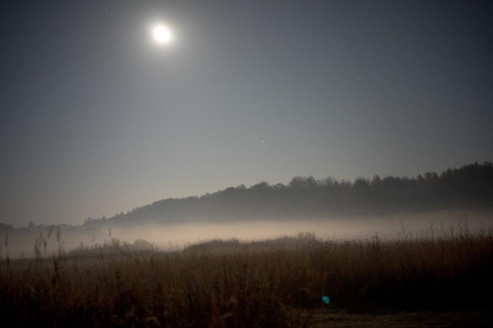 fog