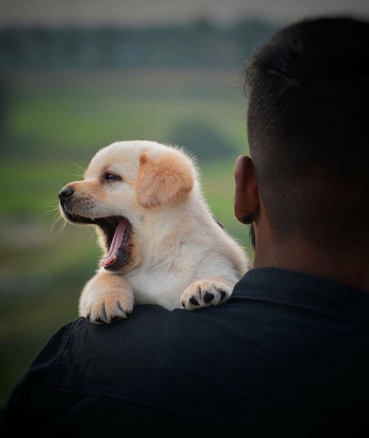 So cute