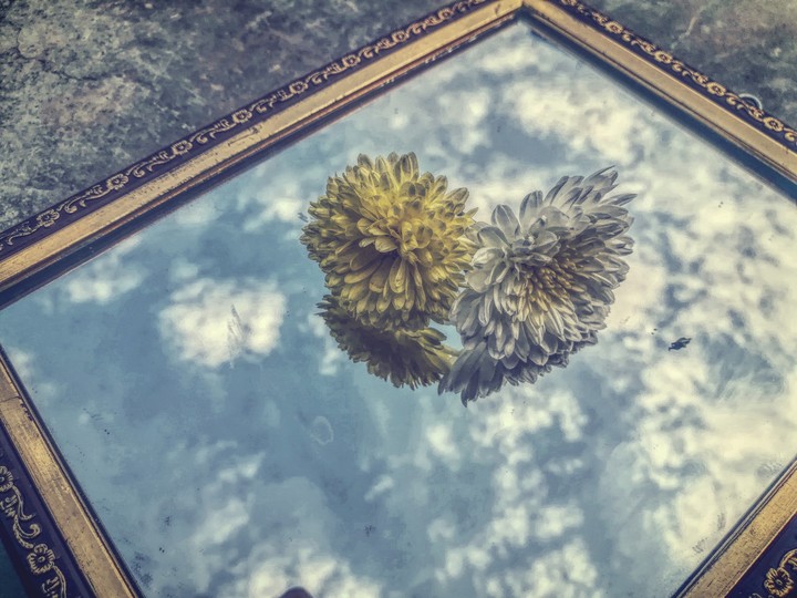 Mirror World