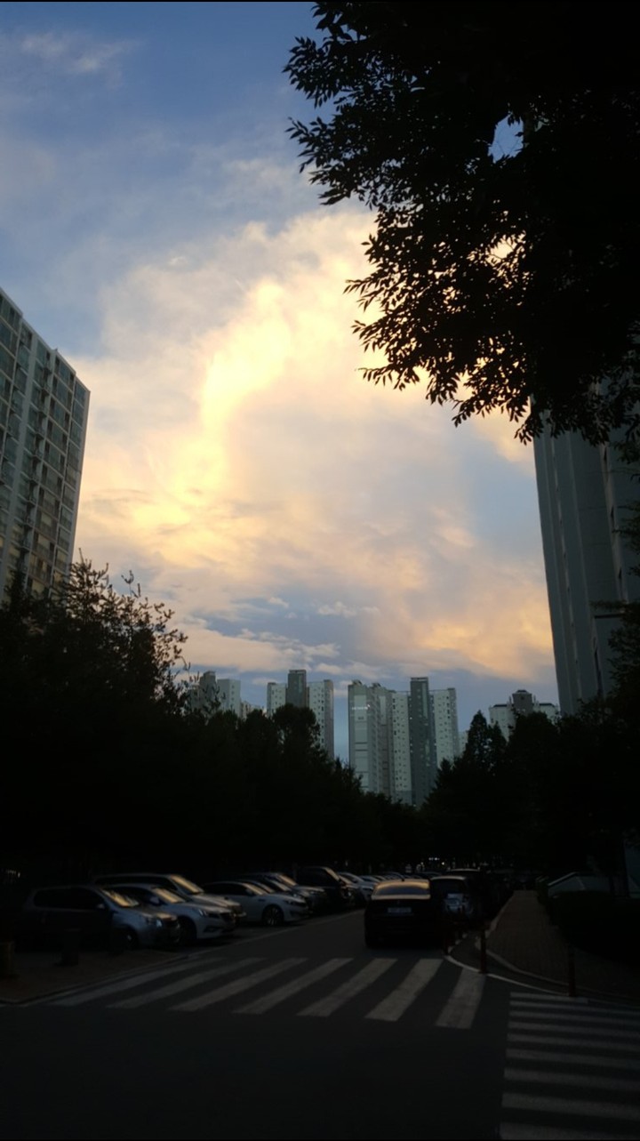 The way home