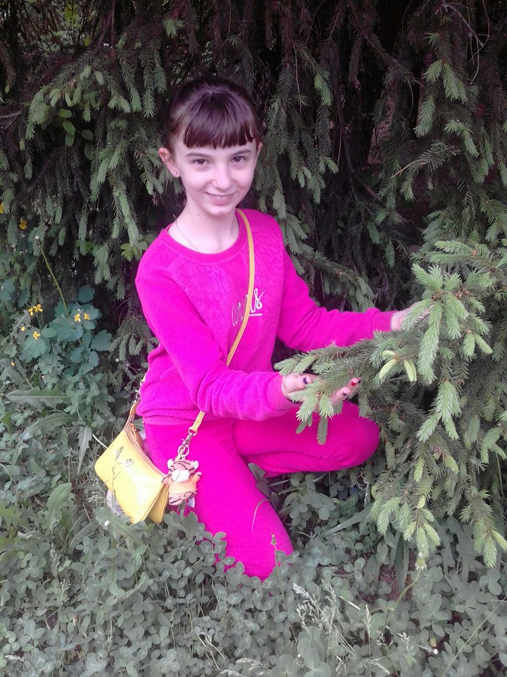 возле ели