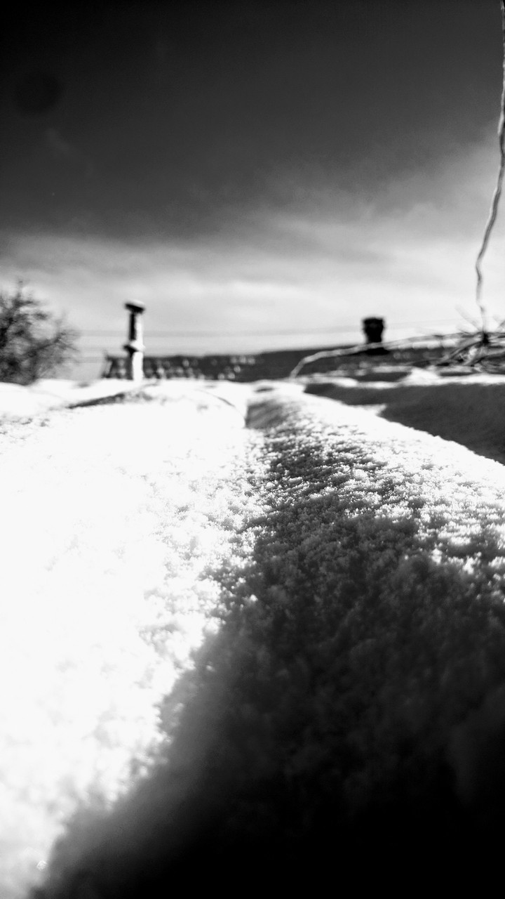 winter