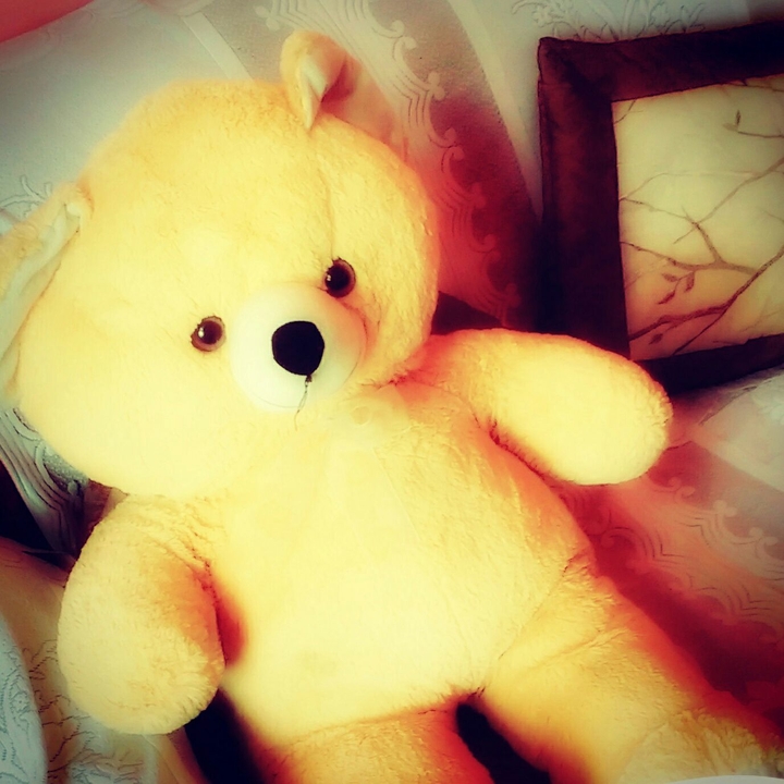 Teddy bear