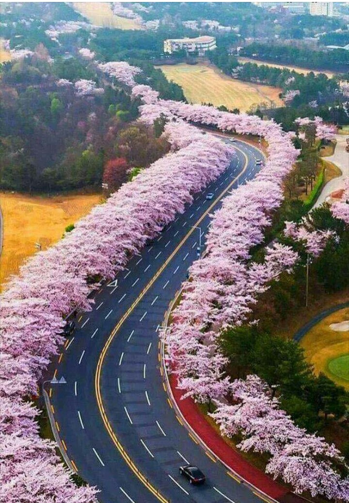 Beauty of Noida (INDIA)