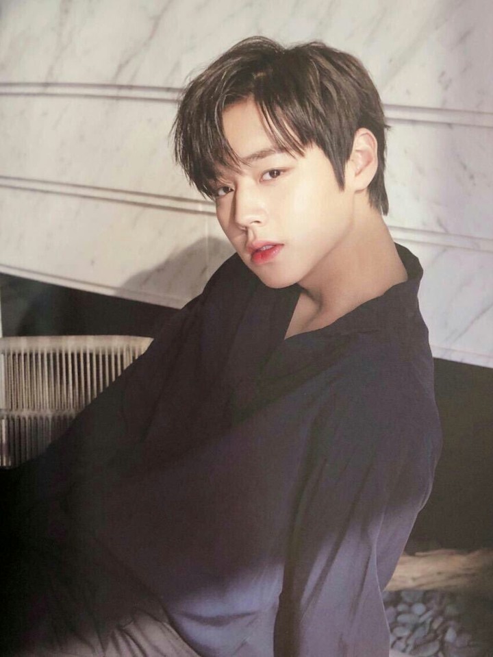 Korea Singer