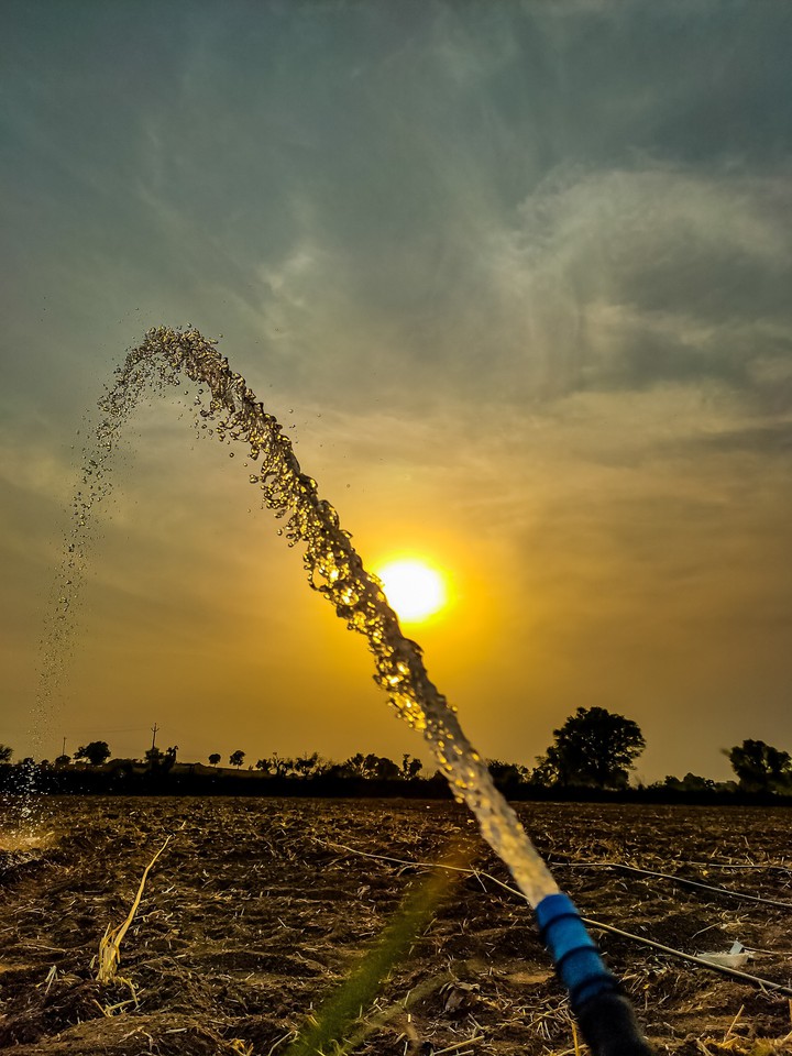 irrigation