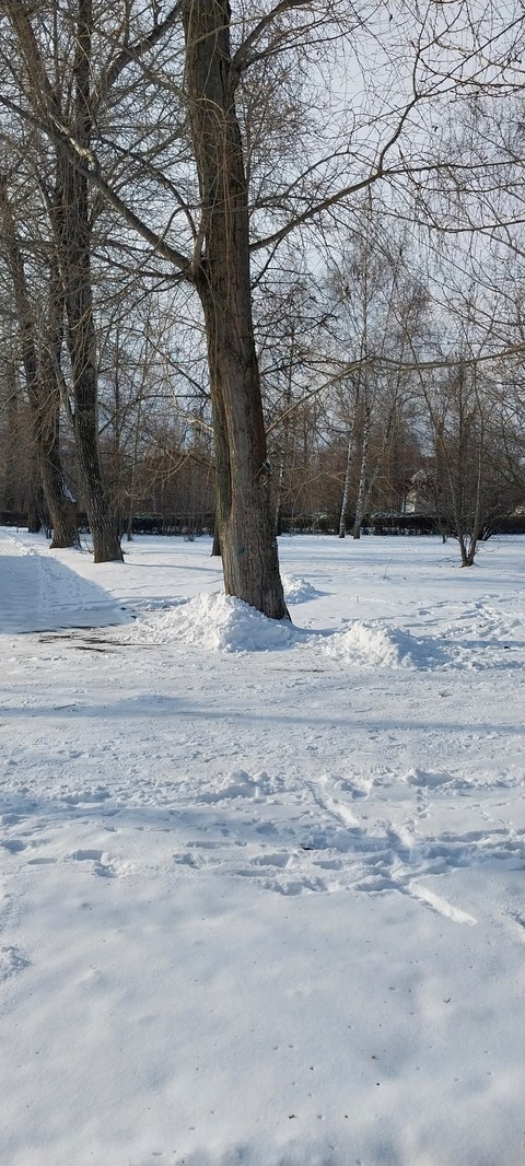 winter, White桌布