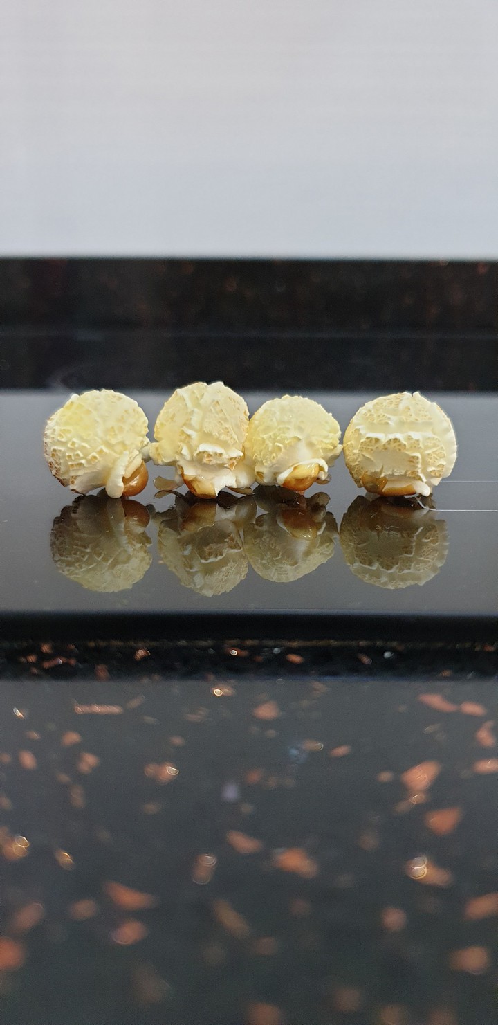 Cute little pop-corn…yummy