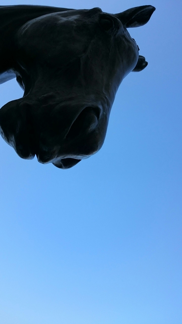 Horse in the sky