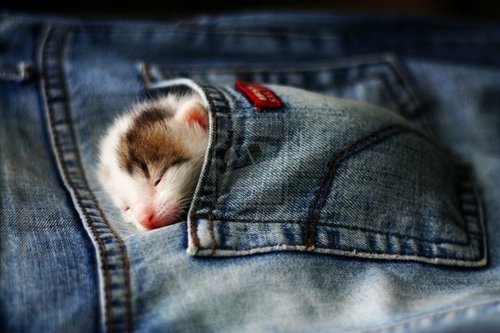 awww....