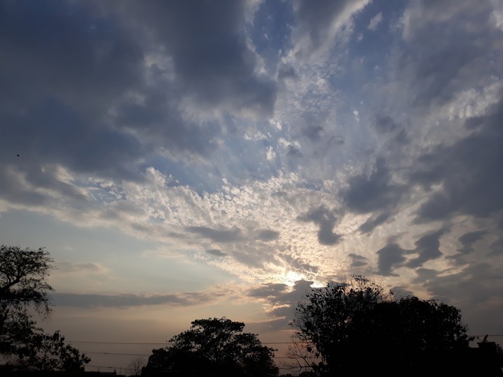 All nature has a feeling