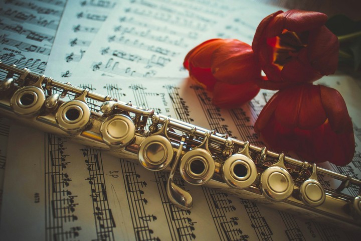 music and tulip