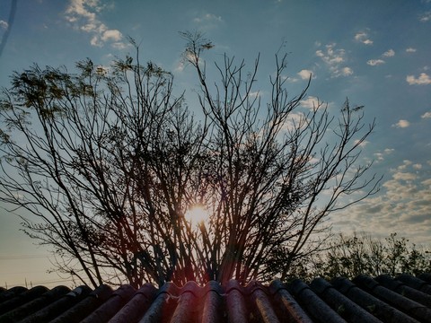 sun light