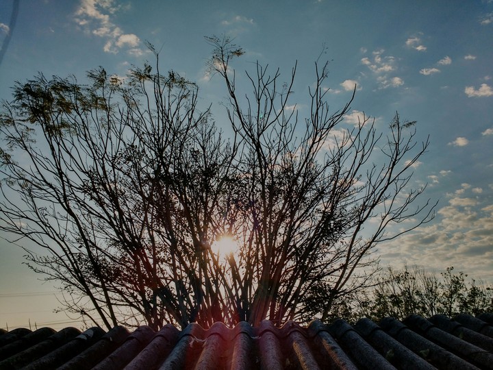sun light