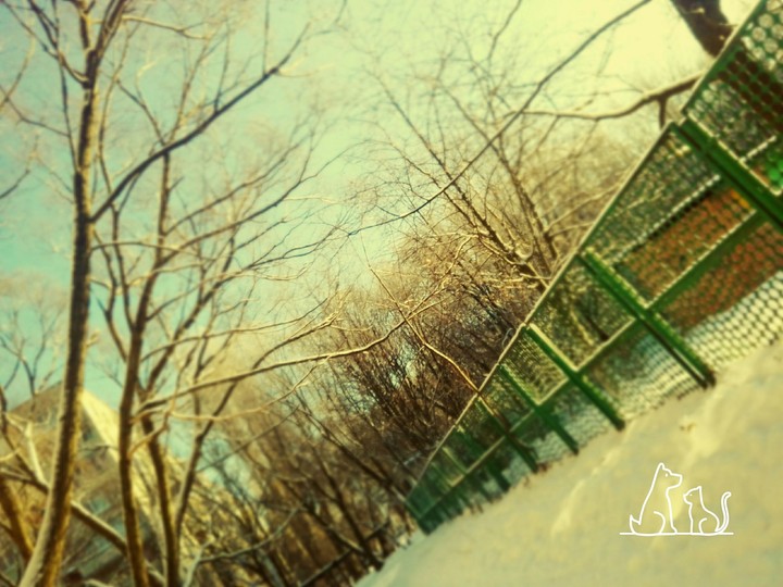 природа