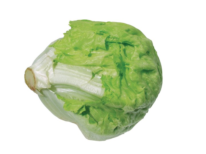 음식이미지