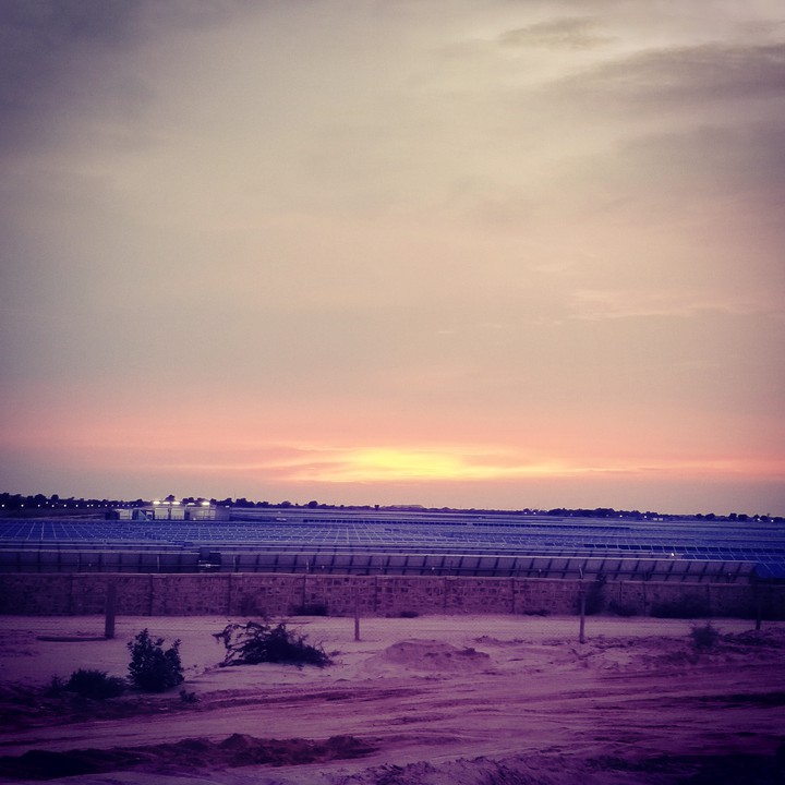 beautiful evening