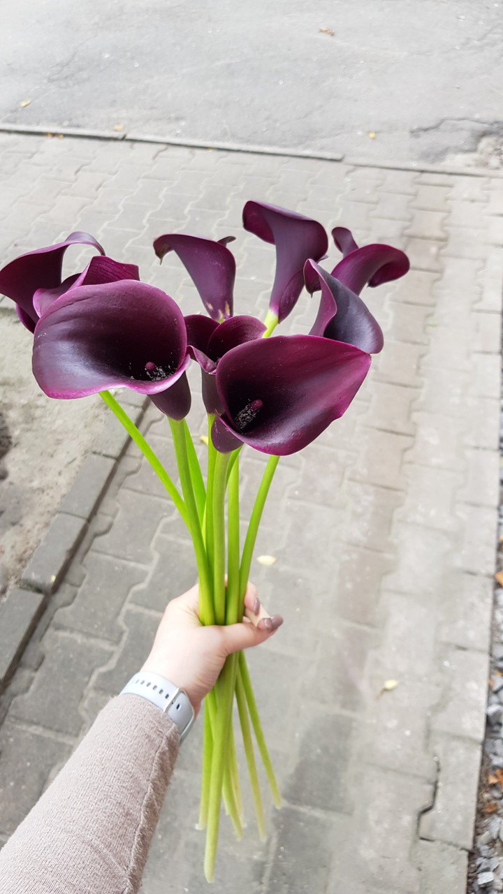 flowers