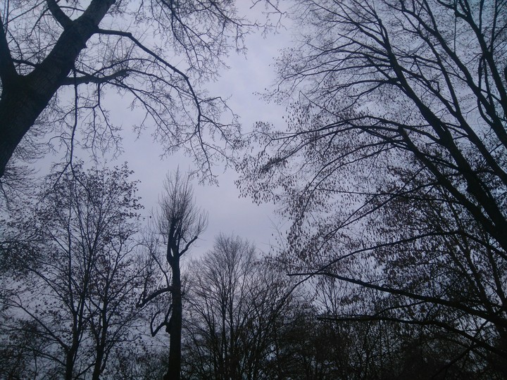 park in the evening