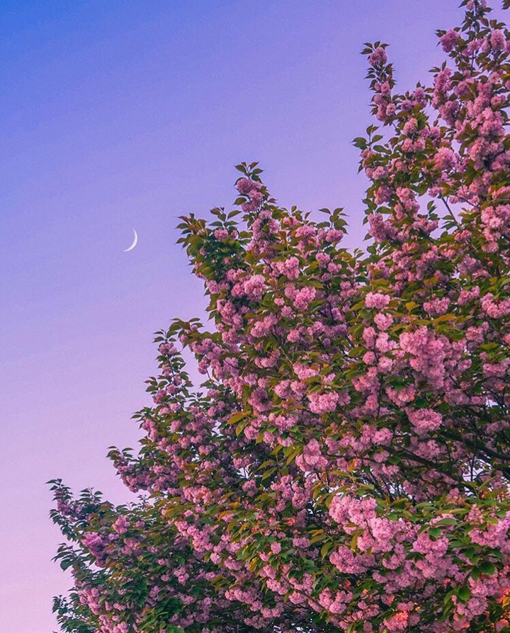 ❤❤❤