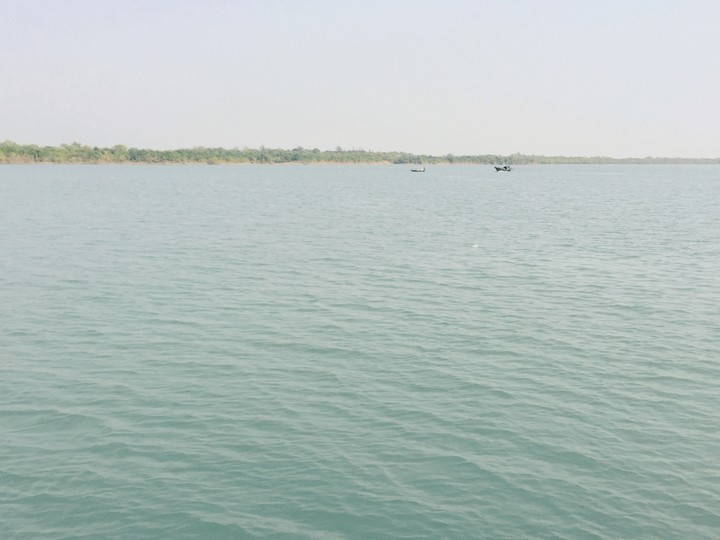Sundarban