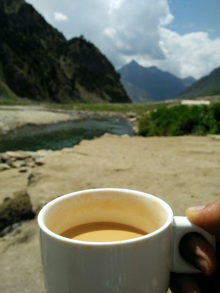 cup of tea
