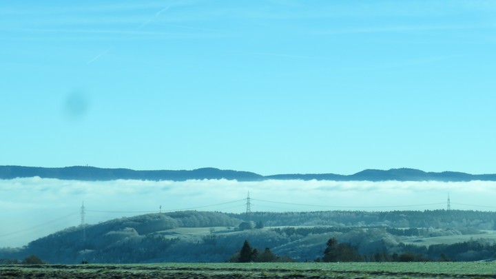 Fog in the Morning!
