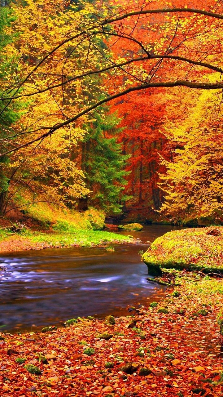 Bello