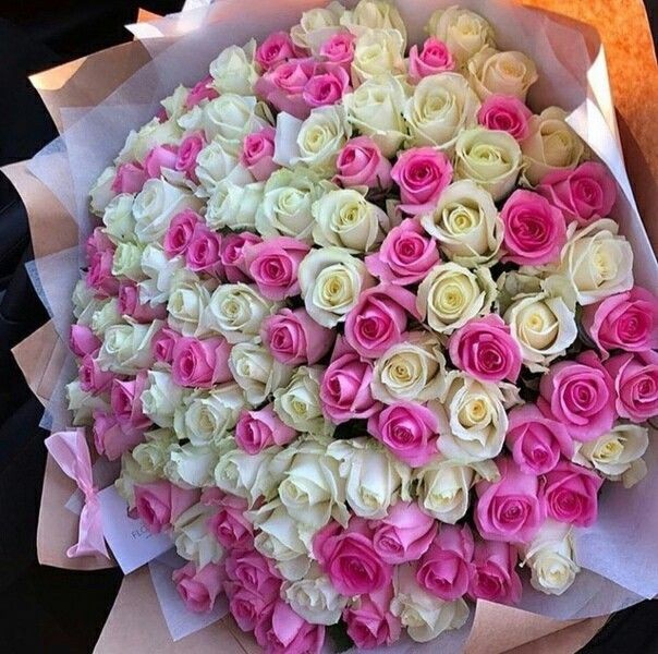 roses