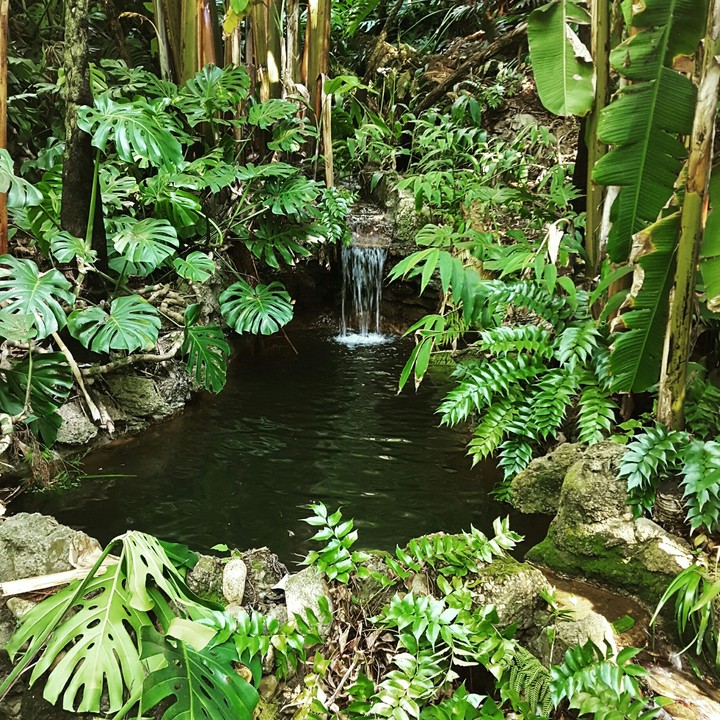 little waterfall