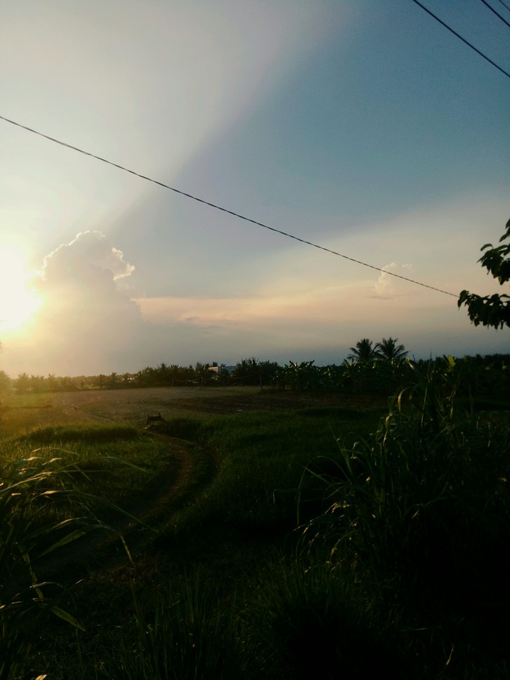 countryside