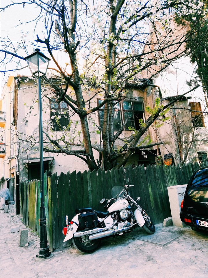 Beograd