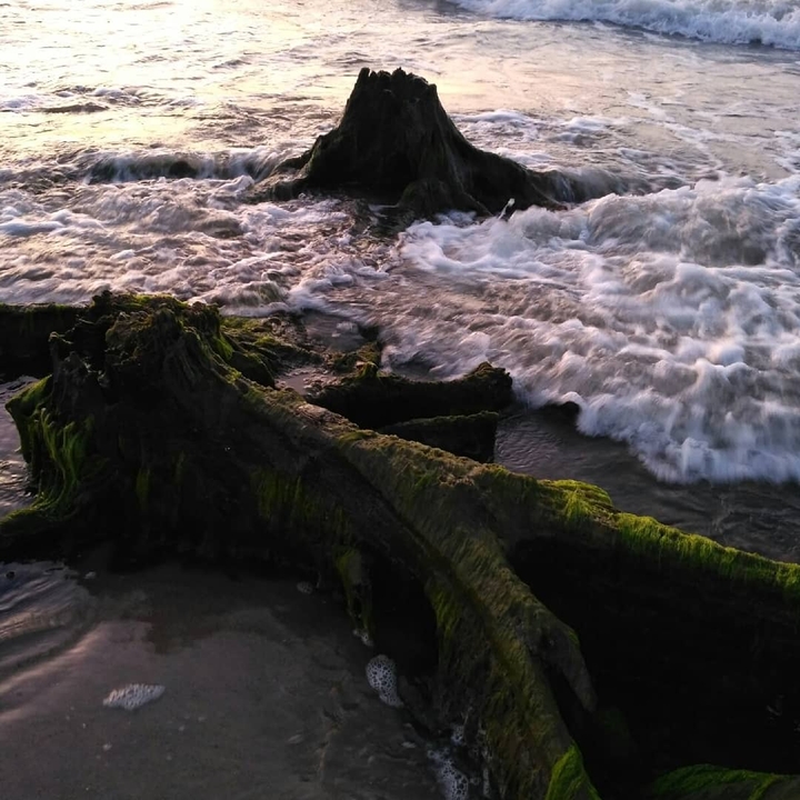 море