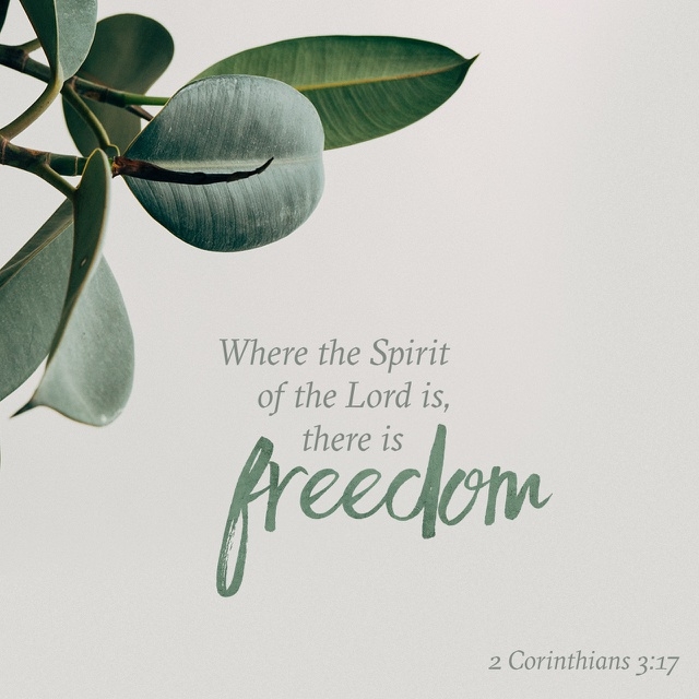 freedom