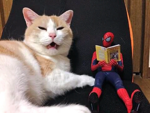 lectura