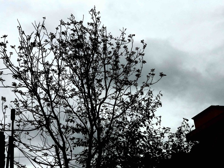 sky