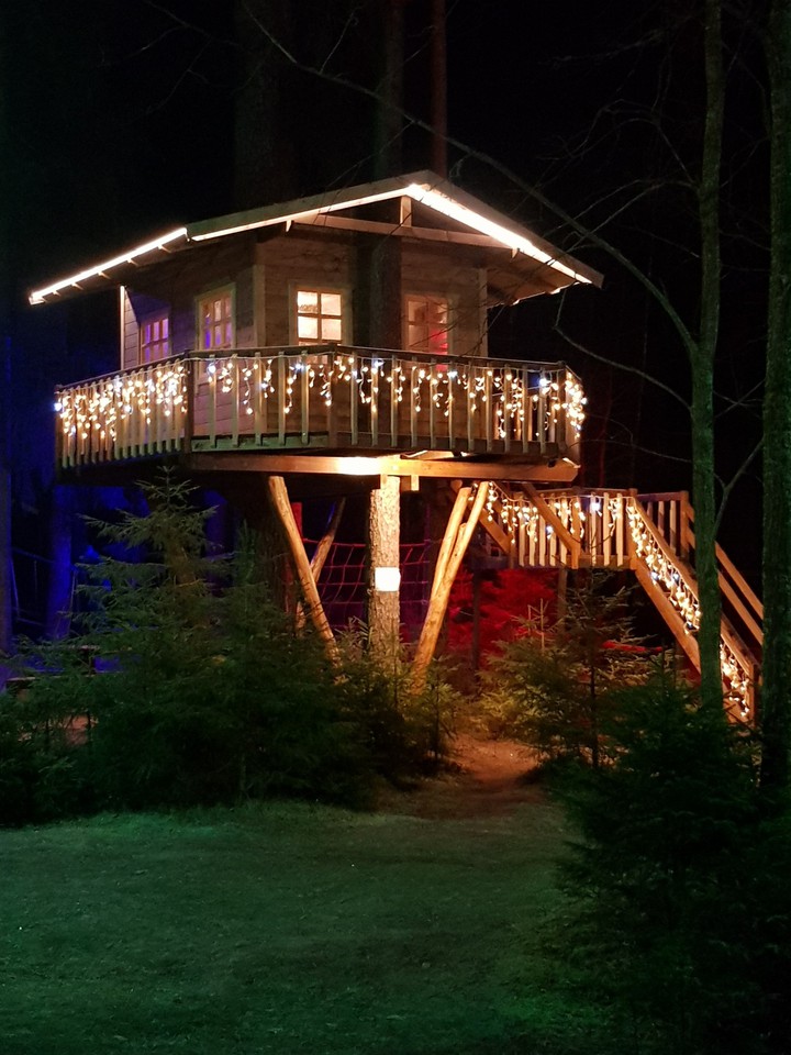 forest house
