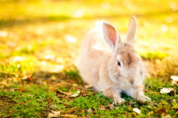 공원